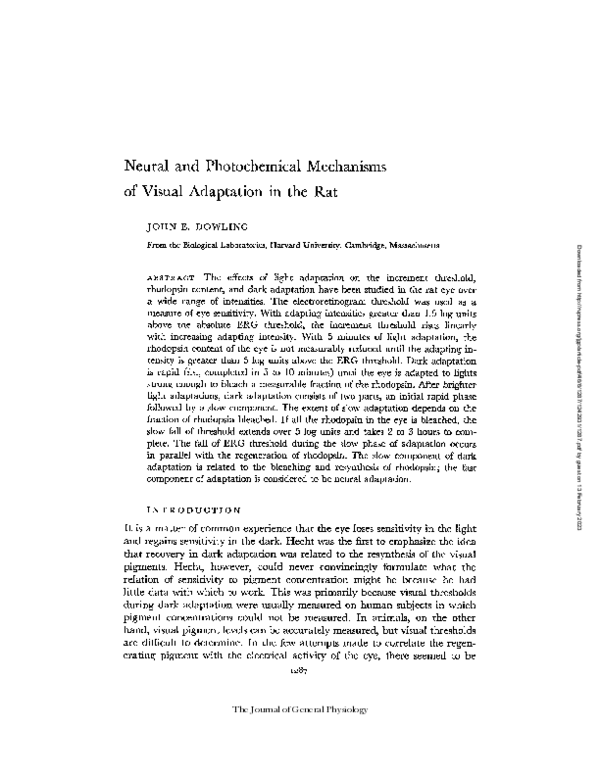 (PDF) Neural and Photochemical Mechanisms of Visual Adaptation in the Rat