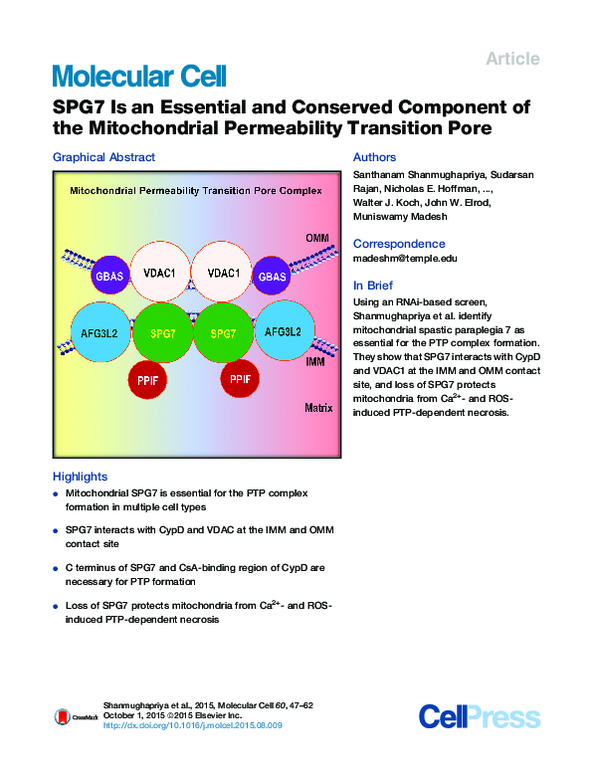 (PDF) SPG7 Is an Essential and Conserved Component of the Mitochondrial ...