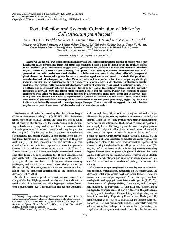 (PDF) Root Infection and Systemic Colonization of Maize by ...