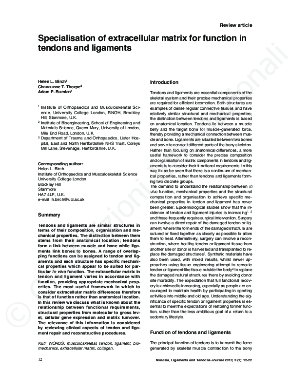 (PDF) Specialisation of extracellular matrix for function in tendons ...