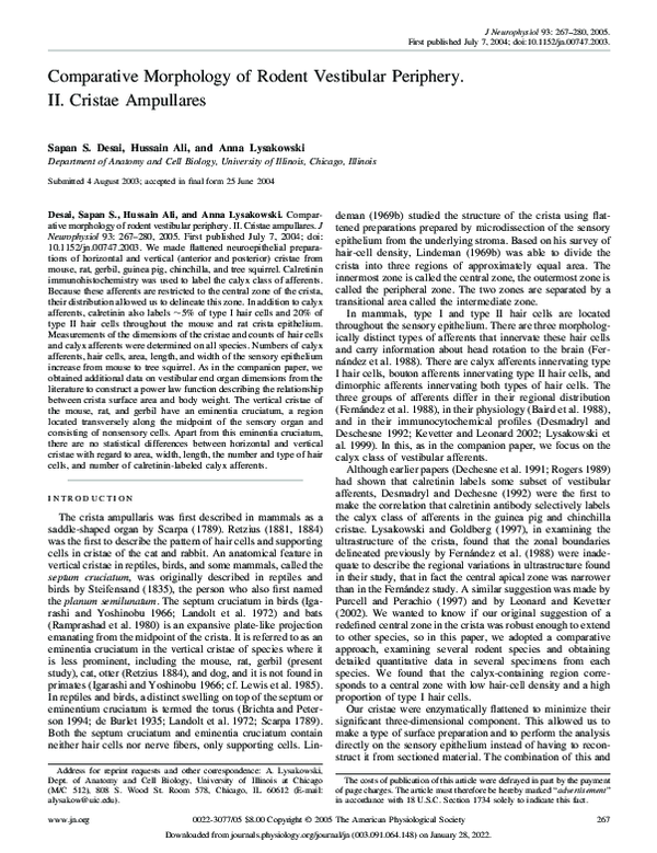(PDF) Comparative Morphology of Rodent Vestibular Periphery. II ...