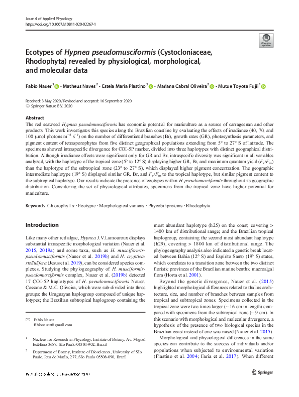 (PDF) Ecotypes of Hypnea pseudomusciformis (Cystocloniaceae, Rhodophyta ...