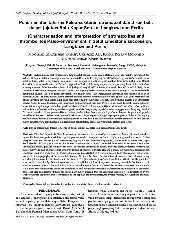 (PDF) Characterisation and interpretation of stromatolites and ...