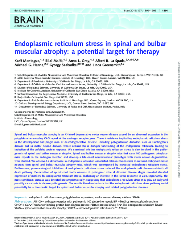 (PDF) Endoplasmic reticulum stress in spinal and bulbar muscular ...