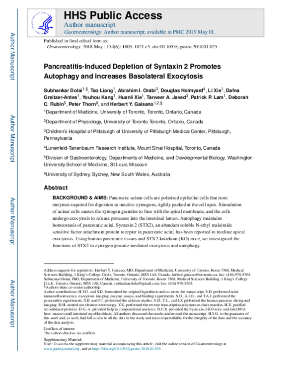 (PDF) Pancreatitis-Induced Depletion of Syntaxin 2 Promotes Autophagy ...