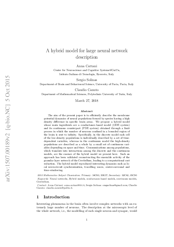 (PDF) A hybrid model for large neural network description