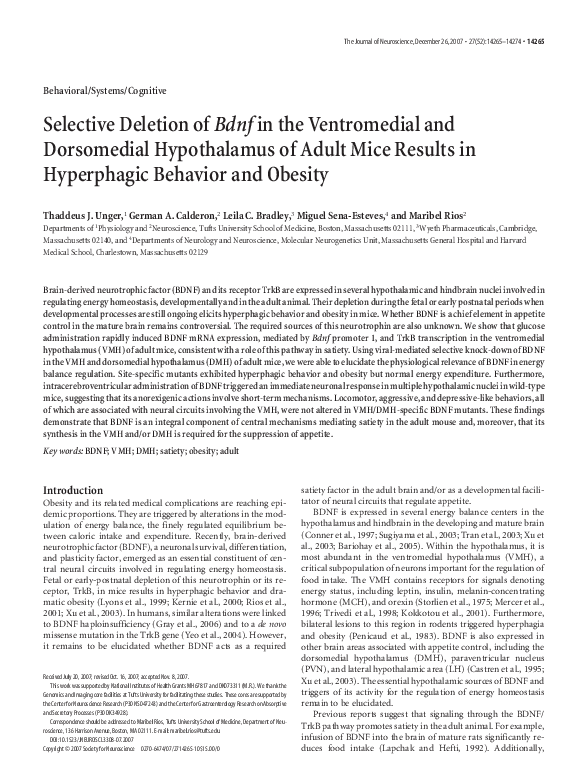(PDF) Selective Deletion of Bdnf in the Ventromedial and Dorsomedial ...