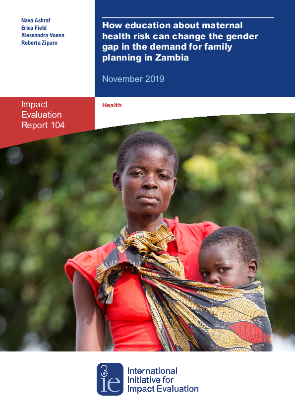 Making networks work for policy: evidence from agricultural technology adoption in Malawi