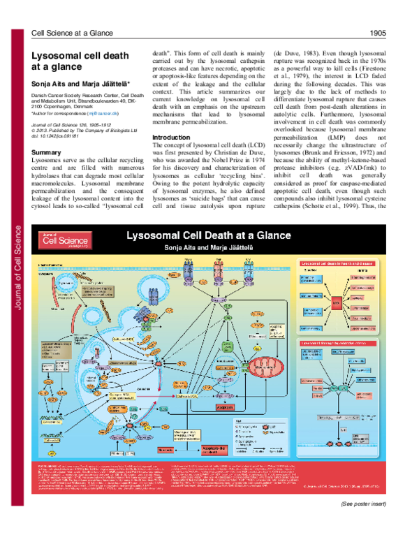 (PDF) Lysosomal cell death at a glance