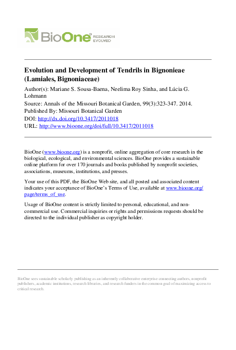 (PDF) Evolution and Development of Tendrils in Bignonieae (Lamiales ...