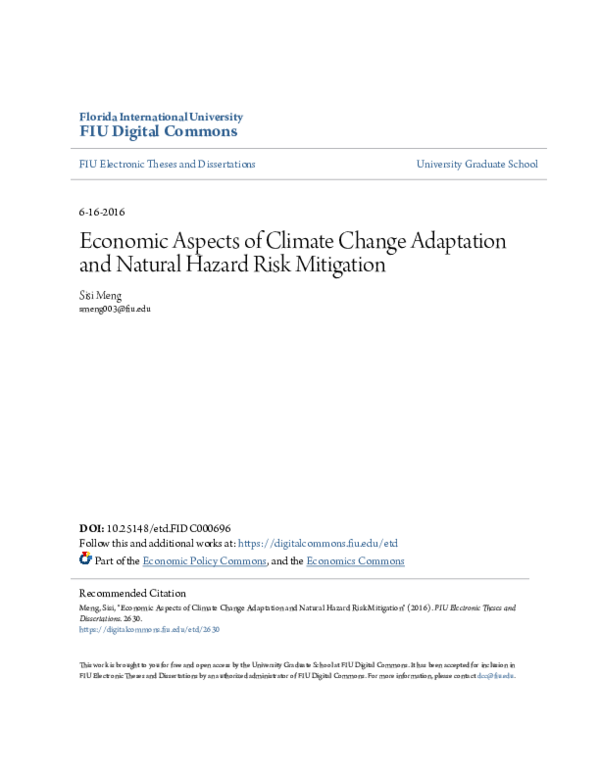 (PDF) Economic Aspects of Climate Change Adaptation and Natural Hazard ...