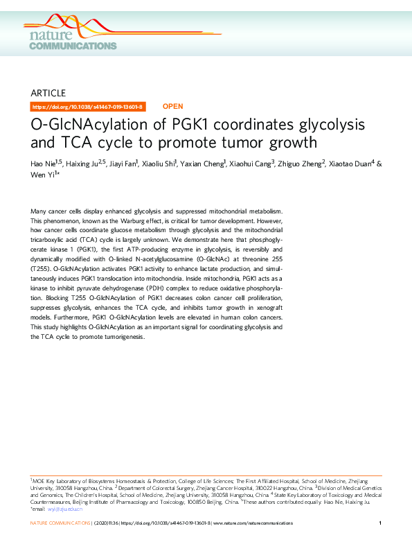 (PDF) O-GlcNAcylation of PGK1 coordinates glycolysis and TCA cycle to ...
