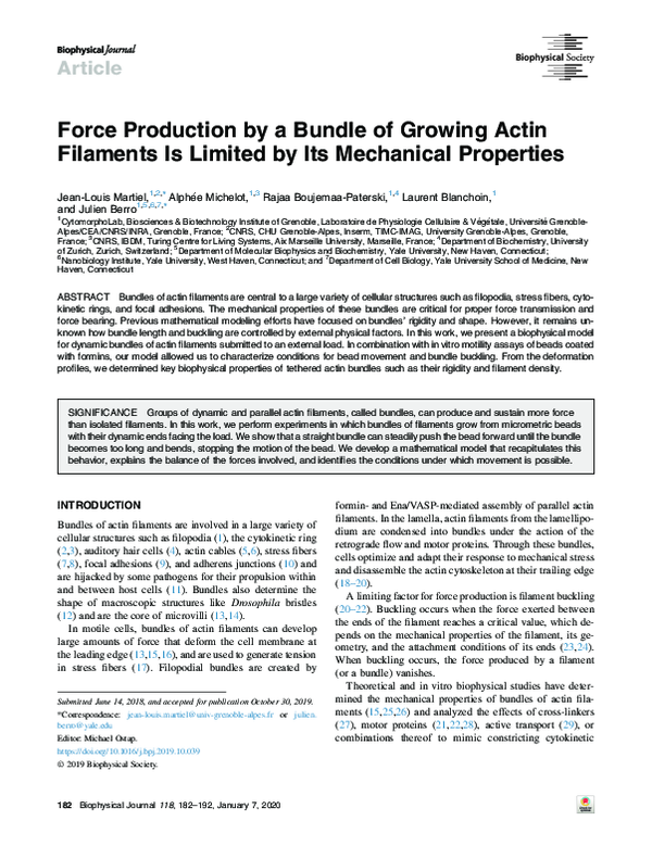 (PDF) Force Production by a Bundle of Growing Actin Filaments Is ...