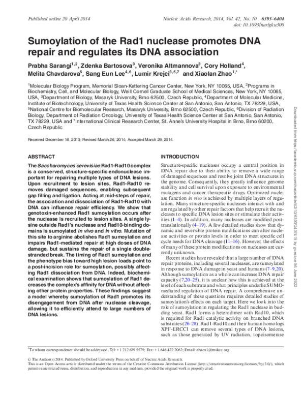(PDF) Sumoylation of the Rad1 nuclease promotes DNA repair and ...
