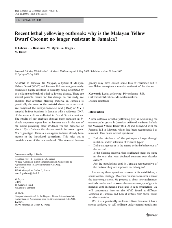 (PDF) Recent lethal yellowing outbreak Why is the Malayan Yellow Dwarf