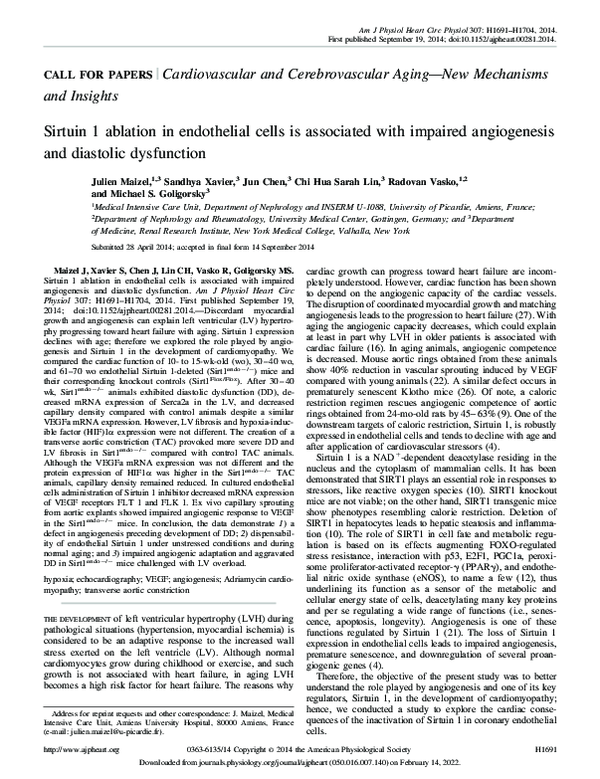 (PDF) Sirtuin 1 ablation in endothelial cells is associated with ...