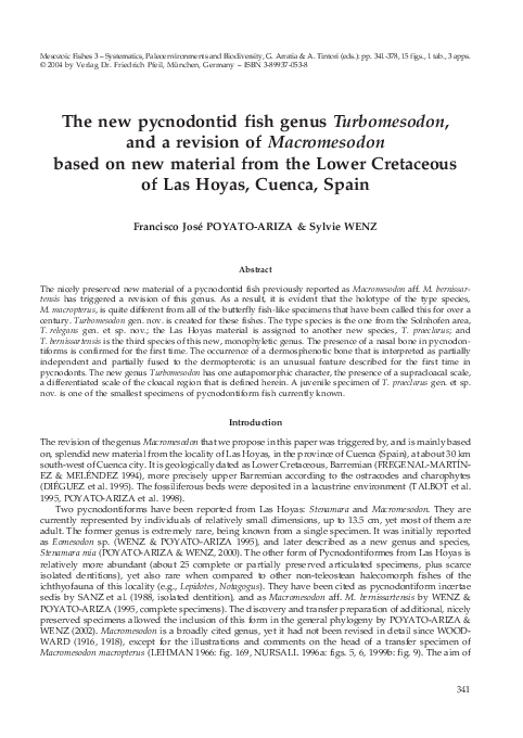 (PDF) The new pycnodontid fish genus Turbomesodon, and a revision of ...