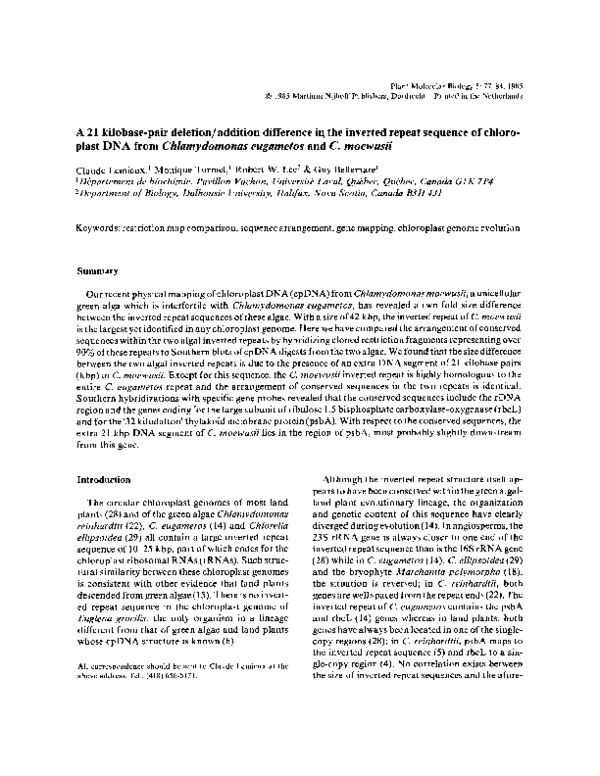 (PDF) A 21 kilobase-pair deletion/addition difference in the inverted ...