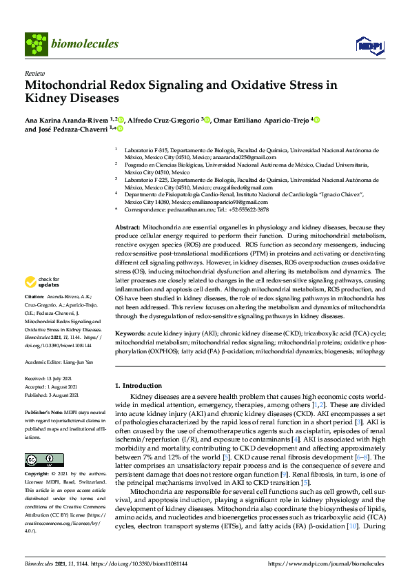 (PDF) Mitochondrial Redox Signaling and Oxidative Stress in Kidney Diseases