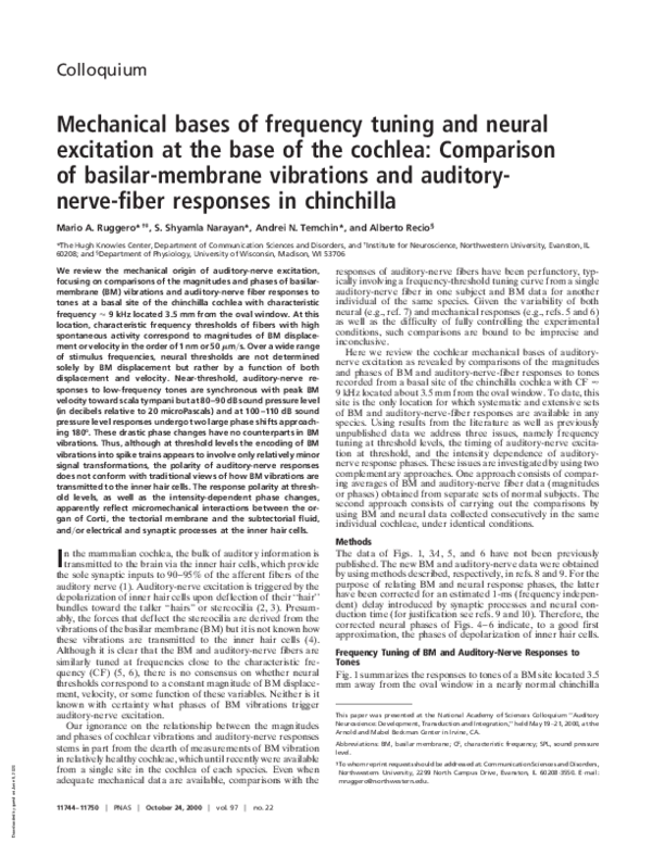(PDF) Mechanical bases of frequency tuning and neural excitation at the ...