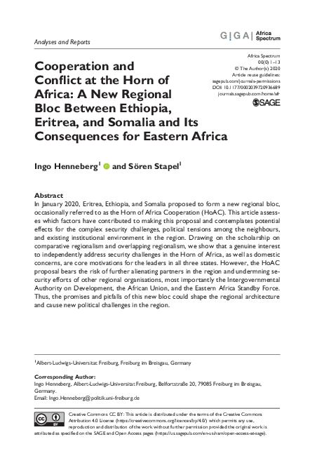(PDF) Cooperation and Conflict at the Horn of Africa: A New Regional ...
