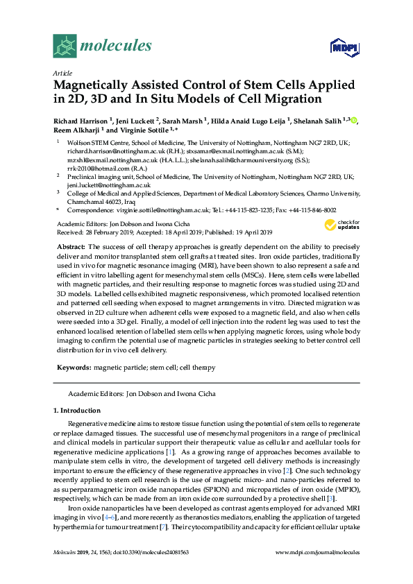 (PDF) Magnetically Assisted Control of Stem Cells Applied in 2D, 3D and ...