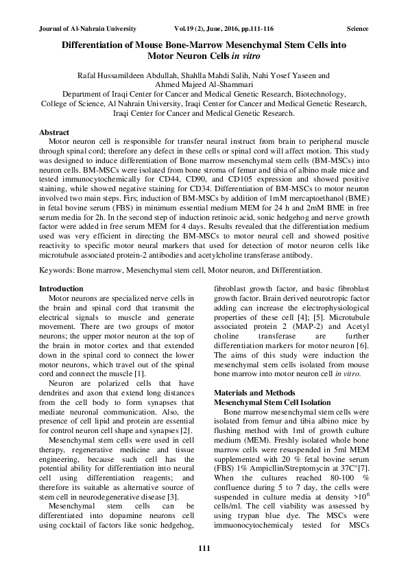 (PDF) Differentiation of Mouse Bone-Marrow Mesenchymal Stem Cells into ...