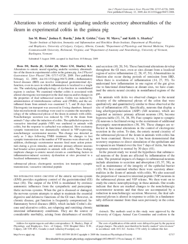 Photo inspiration: Guinea Pig Colitis Reference: Pdf Alterations To Enteric Neural Signaling Underlie Secretory