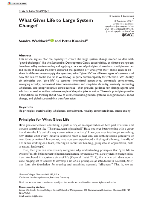(PDF) What Gives Life to Large System Change?
