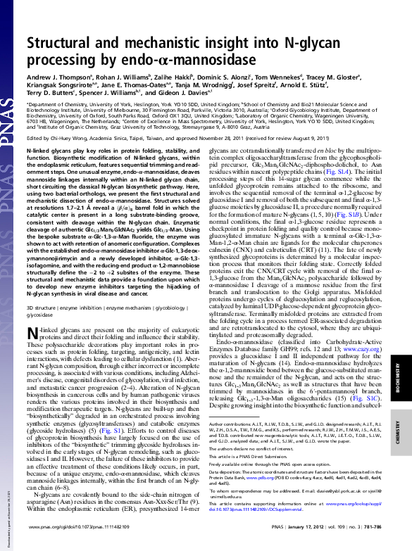 (PDF) Structural and mechanistic insight into N-glycan processing by ...