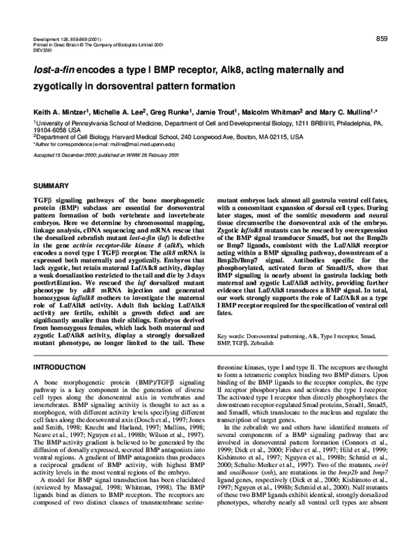 (PDF) Lost-a-fin encodes a type I BMP receptor, Alk8, acting maternally ...