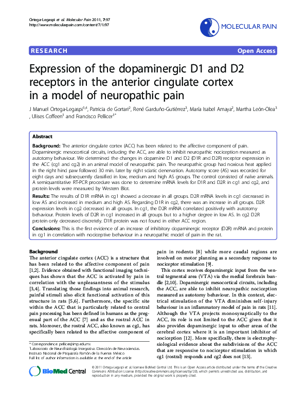 (PDF) Expression of the Dopaminergic D1 and D2 Receptors in the ...