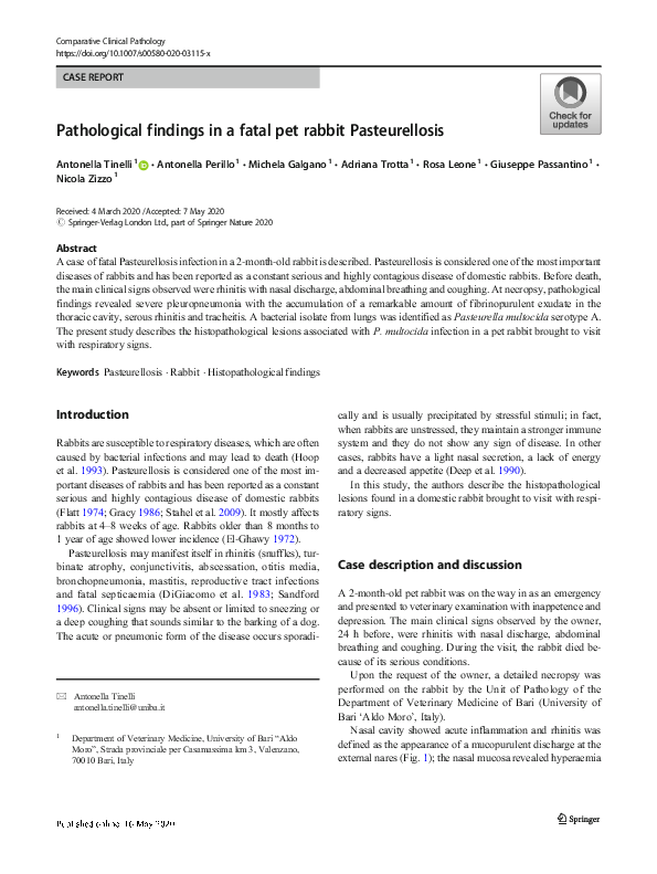 (PDF) Pathological findings in a fatal pet rabbit Pasteurellosis