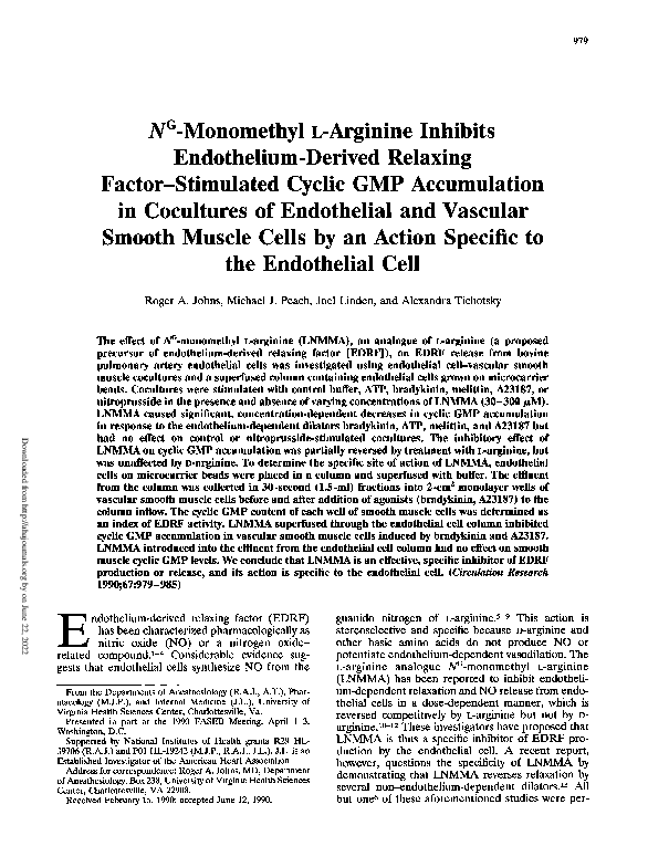 NG-monomethyl L-arginine inhibits endothelium-derived relaxing factor-stimulated cyclic GMP accumulation in cocultures of endothelial and vascular smooth muscle cells by an action specific to the endothelial cell