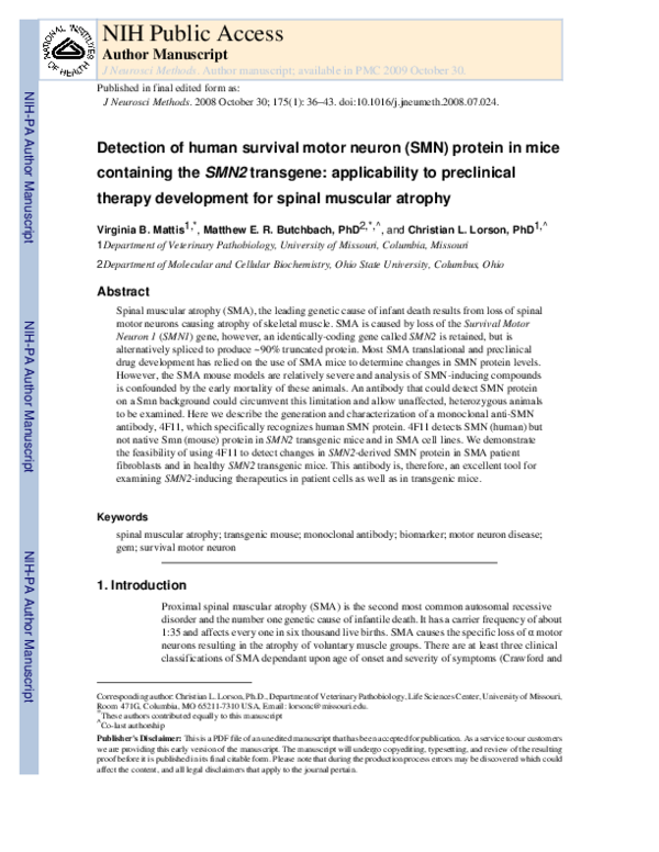 (PDF) Detection of human survival motor neuron (SMN) protein in mice ...