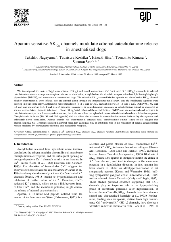 (PDF) Apamin-sensitive SKCa channels modulate adrenal catecholamine ...