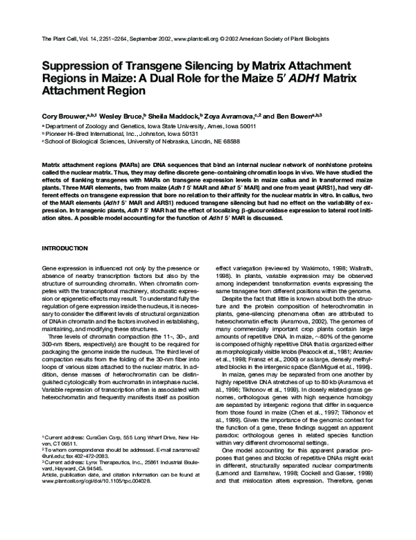 (PDF) Suppression of Transgene Silencing by Matrix Attachment Regions ...