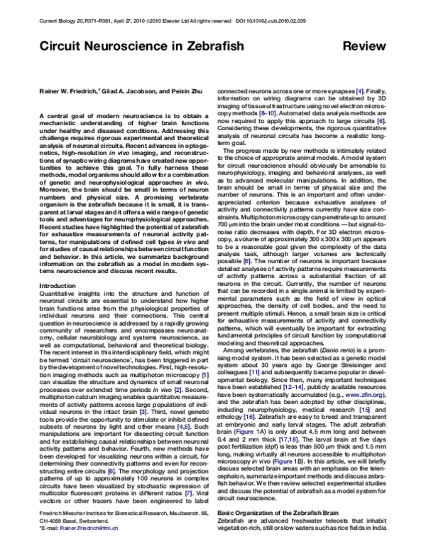 (PDF) Circuit Neuroscience in Zebrafish