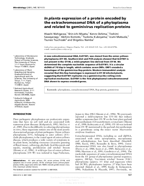 (PDF) In planta expression of a protein encoded by the extrachromosomal ...