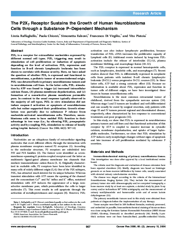 (PDF) The P2X7 Receptor Sustains the Growth of Human Neuroblastoma ...
