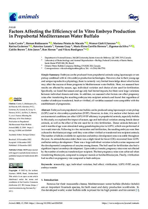 (PDF) Factors Affecting the Efficiency of In Vitro Embryo Production in ...