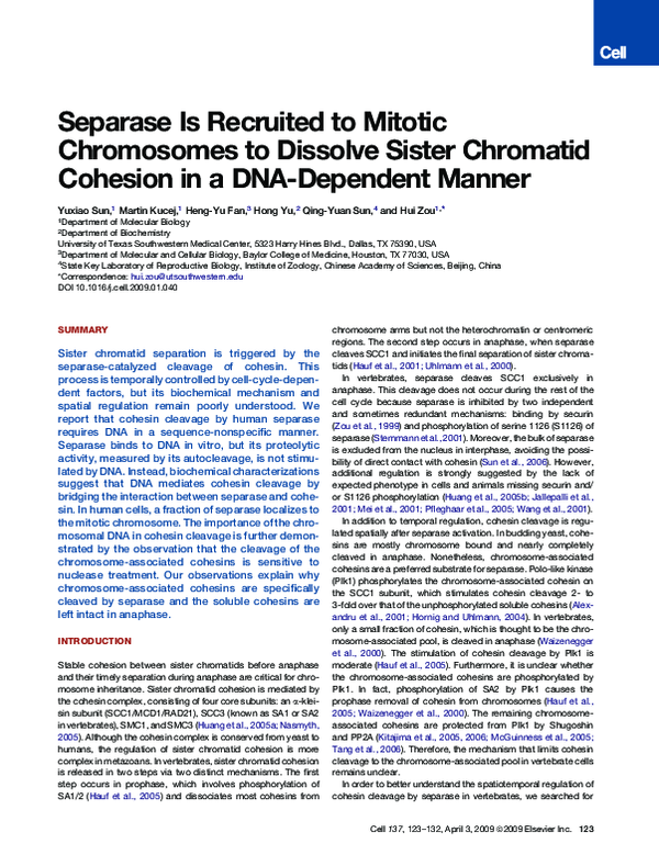 (PDF) Separase Is Recruited to Mitotic Chromosomes to Dissolve Sister ...