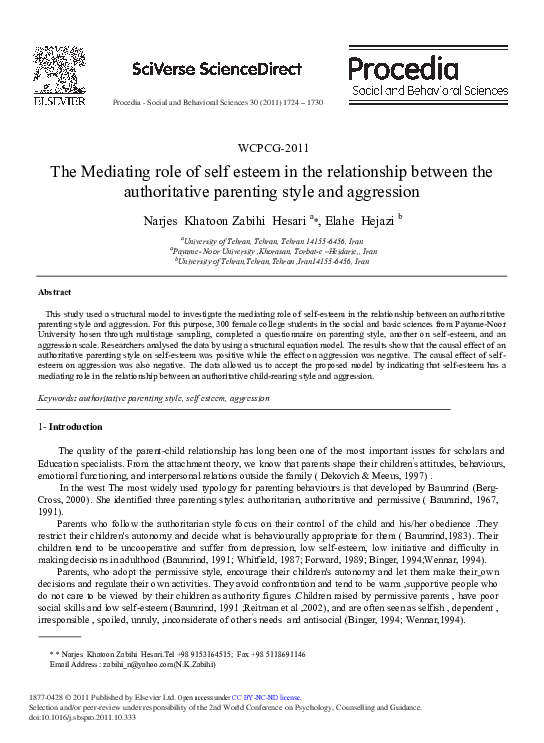 (PDF) The Mediating Role of Self Esteem in the Relationship Between the ...