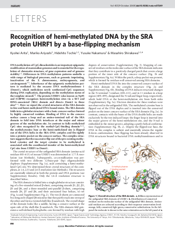 (PDF) Recognition of hemi-methylated DNA by the SRA protein UHRF1 by a ...