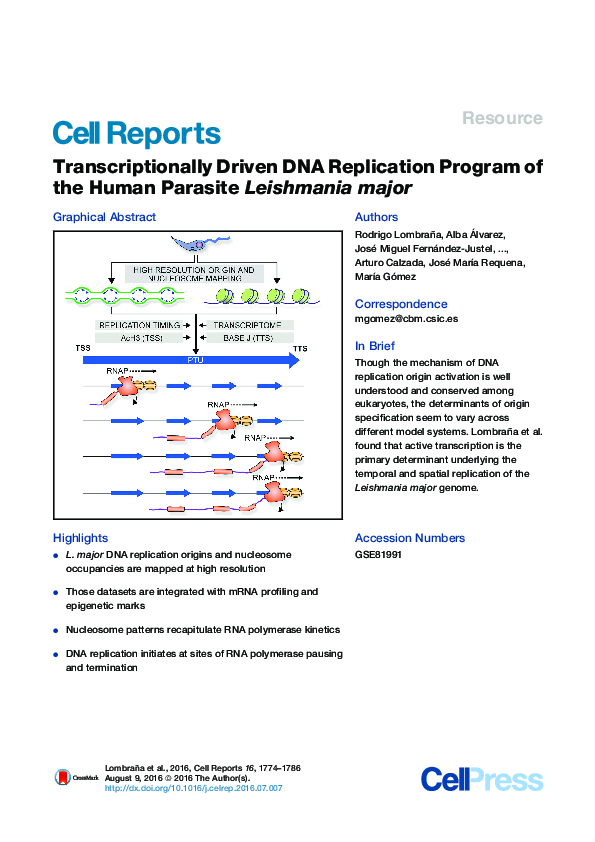 (PDF) Transcriptionally Driven DNA Replication Program of the Human ...