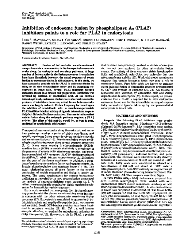 (PDF) Inhibition of endosome fusion by phospholipase A2 (PLA2 ...