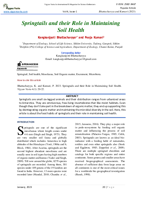 (PDF) Springtails and their Role in Maintaining Soil Health