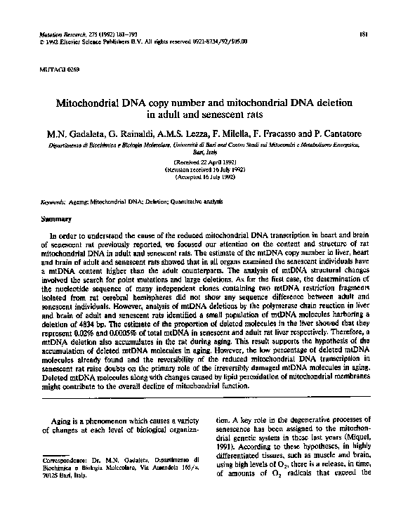 (PDF) Mitochondrial DNA copy number and mitochondrial DNA deletion in ...