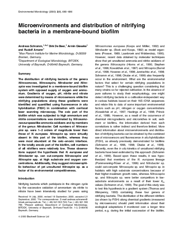 (PDF) Microenvironments and distribution of nitrifying bacteria in a ... - Biofilm And Nitrifying Bacteria Correlation