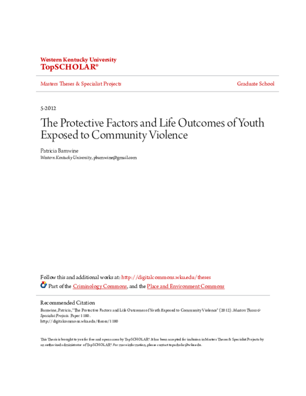 (PDF) The Protective Factors and Life Outcomes of Youth Exposed to ...